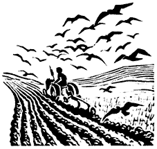 Penny Berry's illustration for David Charleston's poetry book