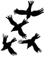 Illustration by Gordon Bradshaw