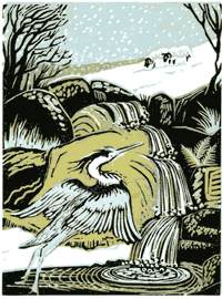 Penny Berry's illustration from Starfall by Wes Magee