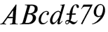 Times Italic Type Face