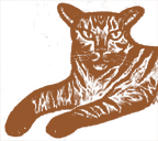 Illustration from The Cat (Spoon Print Press)