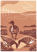 Poetry book by Kevin Crossley-Holland