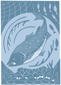 Polly Warren's Illustration for 'Attraction Water'