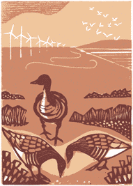 Polly Warren Lino Cut